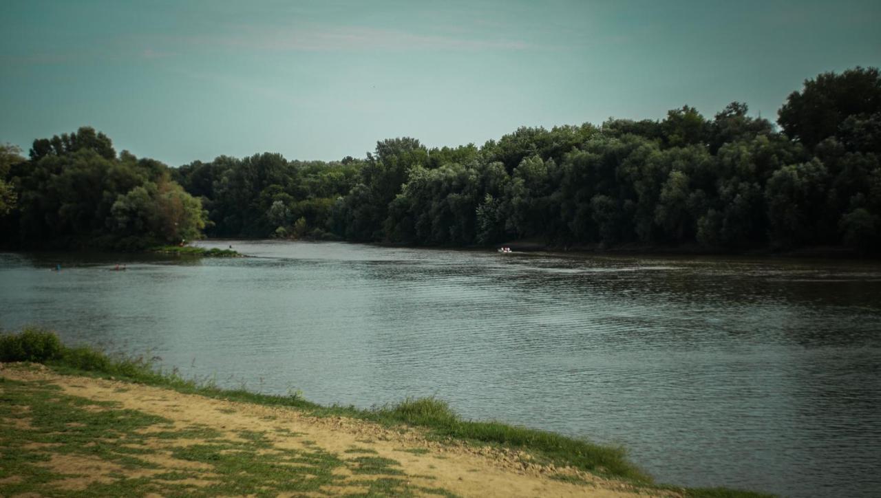 Sargarigo Elmenyhaz Lägenhet Szeged Exteriör bild